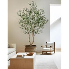 a living room with a white couch and a potted tree in the middle of it