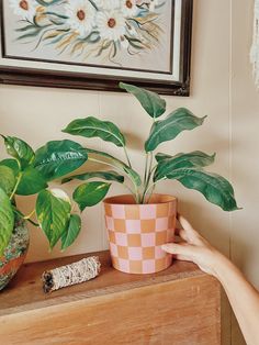 a person is holding a plant in a pot on a dresser next to a painting