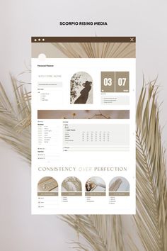 a screen shot of a web page on a white background with palm leaves in the foreground