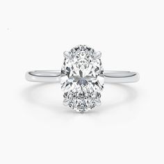 2.5ct Oval G-VS Hidden Halo Lab Grown Diamond Engagement Ring Lab Grown Diamond Engagement Ring, Types Of Diamonds, Halo Setting, Lab Grown Diamonds Engagement, Sustainable Future, Vs Diamond, Hidden Halo, Oval Cut Diamond, Engagement Ring Wedding Band