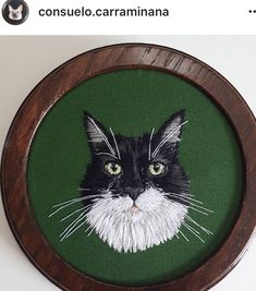 a black and white cat with green eyes is on a wooden framed wall hanging in a wood frame