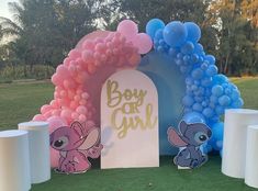 there is a baby girl sign and balloons on the grass