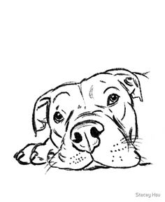 a black and white drawing of a dog's face with its paw resting on the ground