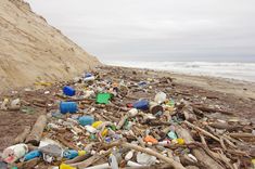 the beach is littered with plastic and trash