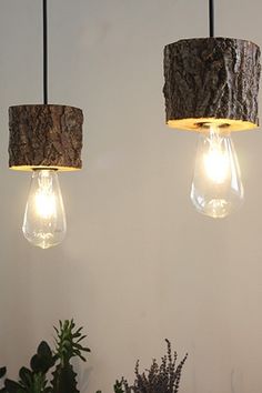 three light bulbs hanging from the ceiling in a room with plants and potted plants