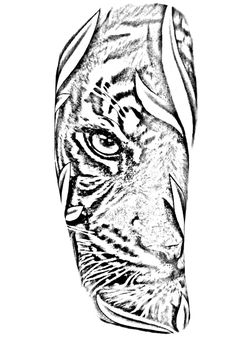 a black and white drawing of a tiger's face