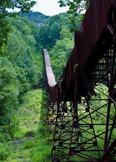 an old train traveling through a lush green forest