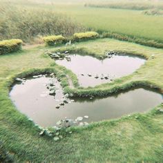 a heart shaped pond in the middle of a grassy field