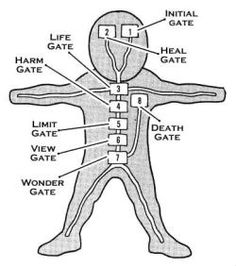 diagram of the human body with labels