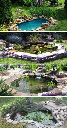 four different views of a garden pond