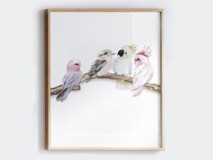 three birds are sitting on a branch in front of a white wall with a wooden frame