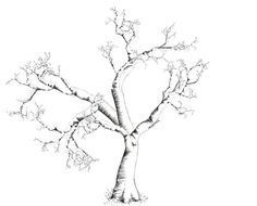 a drawing of a tree with no leaves