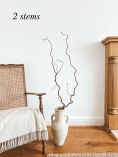 a chair and vase in front of a wall with the words 2 stems on it