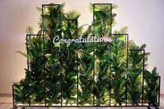 there is a green plant in front of the sign that says congratulationss on it