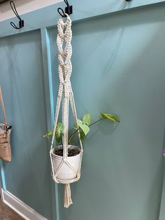 a potted plant hanging from a hook on a wall next to two purses