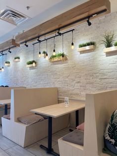 an empty restaurant with benches and plants on the wall