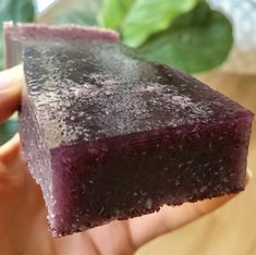 a hand holding up a piece of purple cake on top of a wooden table next to a potted plant