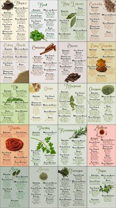 a poster with different types of herbs and their names on it's back side