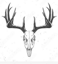 a deer skull with antlers on it's head in black and white ink