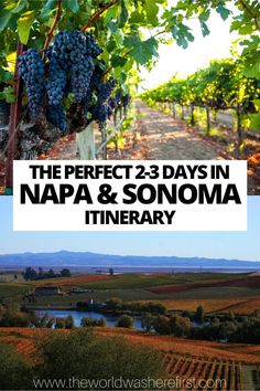 the perfect 23 days in napa & sonoma itinerary with text overlay