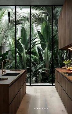 a kitchen with wooden cabinets and plants in the backround, next to a glass wall