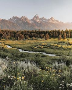 a river running through a lush green field with mountains in the backgrouund