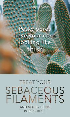 Those dark spots on your nose, cheeks and chin probably aren’t blackheads. They’re sebaceous filaments, and squeezing them won't get rid of them for good. Sebaceous Filaments, Blackhead Remover Diy, Dry Nose, Blackhead Mask, Pore Strips, Health Signs, Beauty Mask