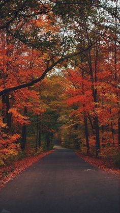 an empty road surrounded by trees with orange leaves