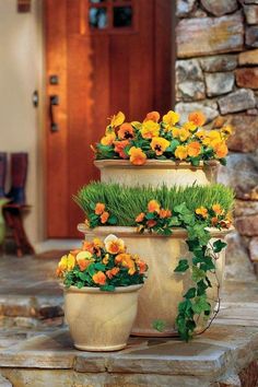 three potted plants with orange and yellow flowers in them sitting on a stone step