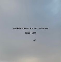 an airplane flying in the sky with a quote above it that reads, dunya is nothing but a beautiful life