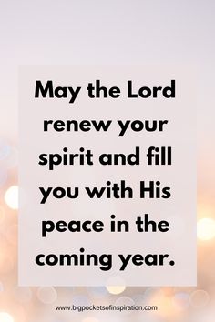 the words may the lord renew your spirit and fill you with his peace in the coming year