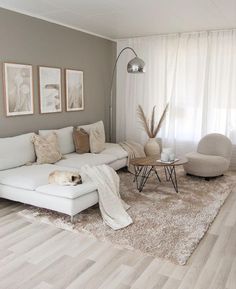 a living room filled with furniture and a white rug on top of a hard wood floor