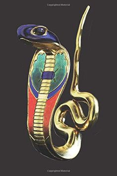 an image of a snake on the cover of a brochure with gold and blue accents