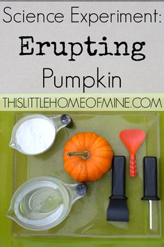 the science experiment for erupting pumpkins