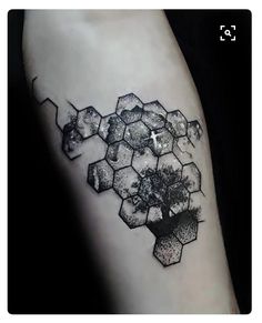 a black and white photo of a tree with hexagons on the arm