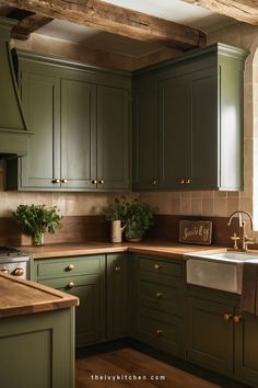 a kitchen with green cabinets and wood flooring is pictured in this image, there are plants on the counter