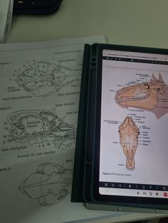 an open book with drawings on top of it next to a computer screen and mouse