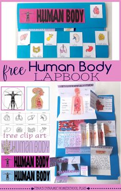 the human body lap book is shown with pictures and instructions to help kids learn how to read