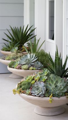 three planters filled with succulents on the side of a house