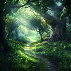 an image of a forest with trees and flowers on the path that leads to it