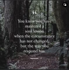 the quote you know you have mastered a soul lesson when not changed, but the way you respond has