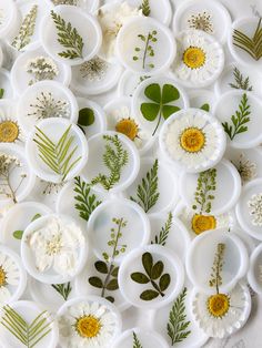 many plates with flowers and leaves on them are arranged in the shape of a circle