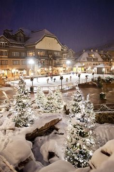 people skating on an ice rink with christmas trees in the foreground and buildings lit up at night