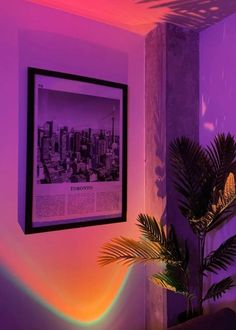 a potted plant sitting in front of a purple wall with a black framed print on it