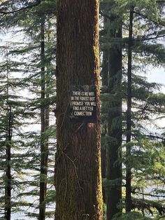 there is a sign on the side of a tree