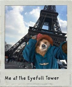 Paddington Poster, Paddington Aesthetic, Teddy Bear Poster, Oso Paddington, Teddy Bear Pictures, London Baby, Paddington Bear, Because I Can, Marmalade