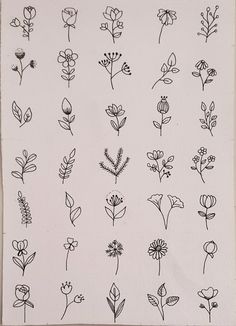 various flowers drawn in black ink on white paper