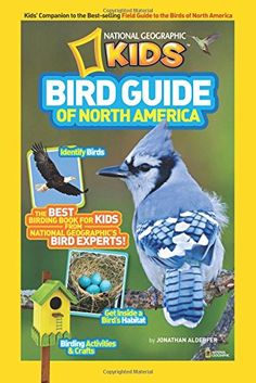 the cover of national geographic kids's bird guide of north america, featuring a blue jay