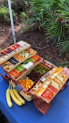 several trays filled with different types of fruit on a blue table cloth in front of trees