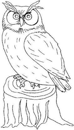 an owl sitting on top of a tree stump with eyes wide open and one eye closed